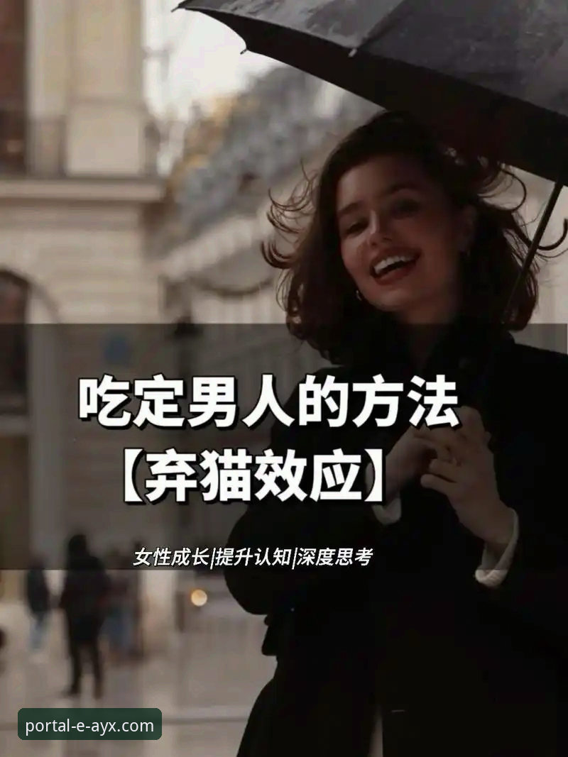 爱游戏体育平台登录入口全面解析：从版本迭代到使用策略的深度思考